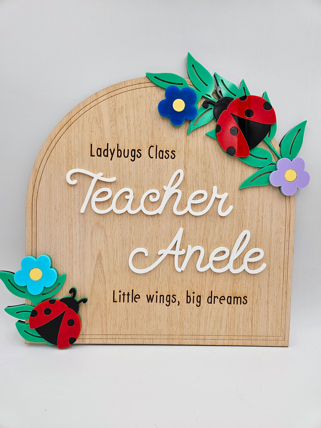 Ladybird teacher plaque